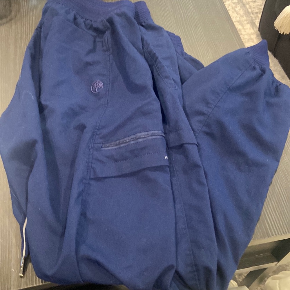 Healing Hands Scrub Joggers